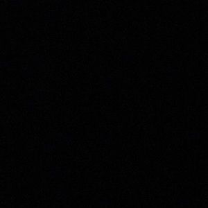 Meet your Posher, Marlon